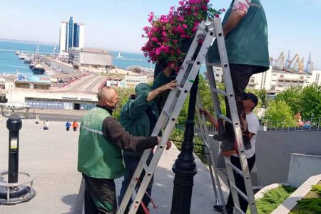 Коммунальщики украсили петуниями в подвесных чашах центральные локации Одессы (фото)