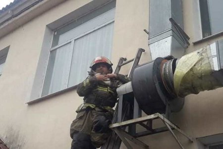В Ивановке спасатели вытащили кота из вентиляционной трубы (фото) 