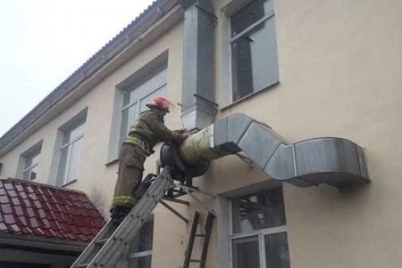 В Ивановке спасатели вытащили кота из вентиляционной трубы (фото) 