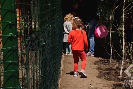 Голуби, декоративные курицы и петух: в парке Победы создали живой уголок
