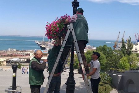 Коммунальщики ликвидируют места нелегальной торговли и стихийные свалки (фото)