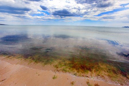 Прохладный майский день в Лузановке (фоторепортаж)