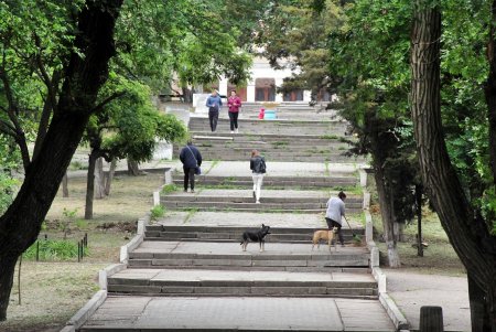 Прогулка по Дюковскому саду: цветущие акации и розы (фоторепортаж)