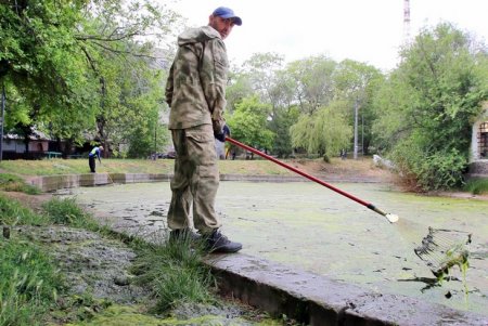 Прогулка по Дюковскому саду: цветущие акации и розы (фоторепортаж)