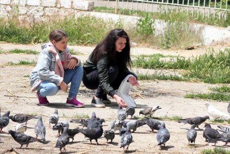 Прогулка по Дюковскому саду: цветущие акации и розы (фоторепортаж)