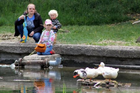 Прогулка по Дюковскому саду: цветущие акации и розы (фоторепортаж)