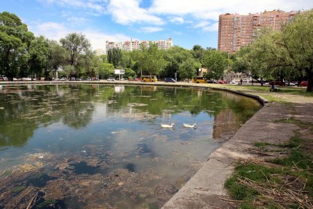 Прогулка по Дюковскому саду: цветущие акации и розы (фоторепортаж)