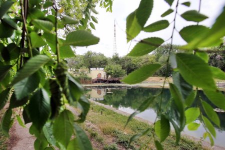 Прогулка по Дюковскому саду: цветущие акации и розы (фоторепортаж)