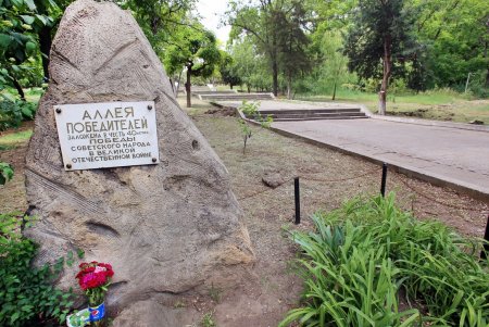 Прогулка по Дюковскому саду: цветущие акации и розы (фоторепортаж)