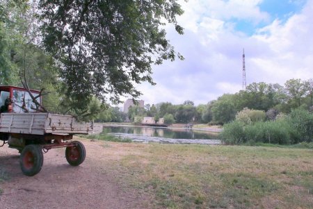 Прогулка по Дюковскому саду: цветущие акации и розы (фоторепортаж)