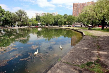 Прогулка по Дюковскому саду: цветущие акации и розы (фоторепортаж)