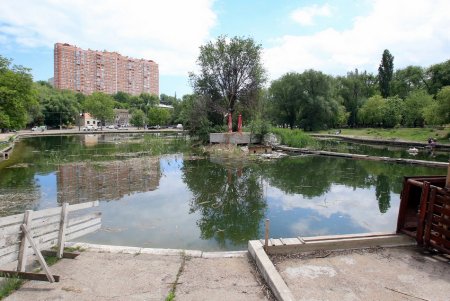 Прогулка по Дюковскому саду: цветущие акации и розы (фоторепортаж)