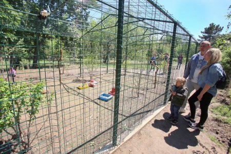 Птичник в парке Победы (фоторепортаж)