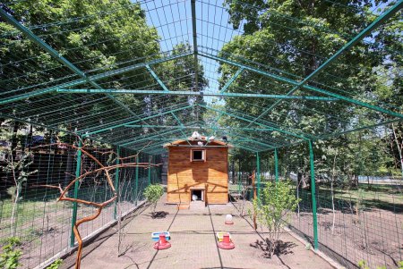 Птичник в парке Победы (фоторепортаж)
