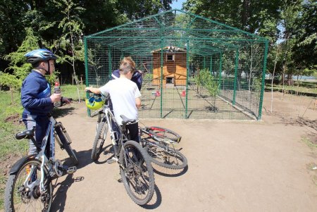 Птичник в парке Победы (фоторепортаж)