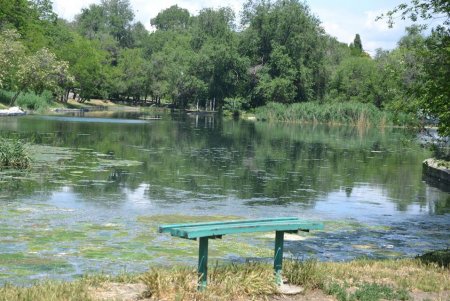 Дюковский сад ждет реконструкция и комплексное благоустройство (фото)