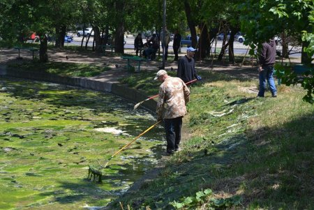 Дюковский сад ждет реконструкция и комплексное благоустройство (фото)