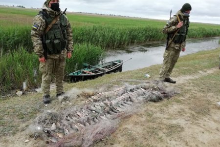 В Дунайском заповеднике браконьеры наловили рыбы более чем на 20 тысяч гривен