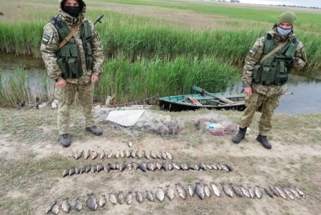 В Дунайском заповеднике браконьеры наловили рыбы более чем на 20 тысяч гривен