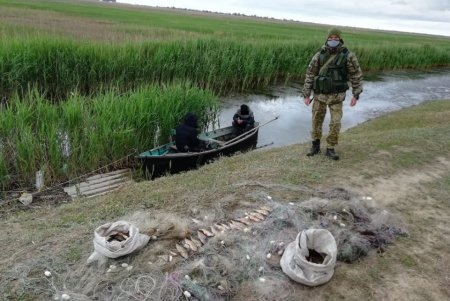 В Дунайском заповеднике браконьеры наловили рыбы более чем на 20 тысяч гривен