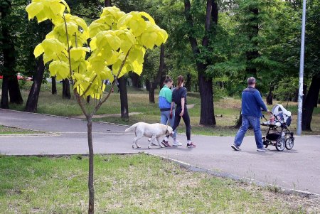 Воскресный парк Шевченко (фоторепортаж)