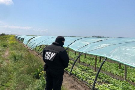 В Одесской области подпольно производили сигареты под видом известных брендов для поставки в Европу (фото, видео) 