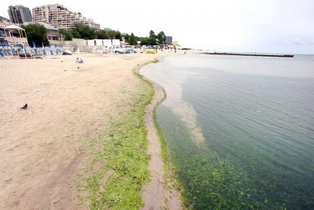 Спокойное море и немноголюдный пляж: не по-летнему прохладный день в Аркадии (фоторепортаж)