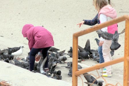 Спокойное море и немноголюдный пляж: не по-летнему прохладный день в Аркадии (фоторепортаж)