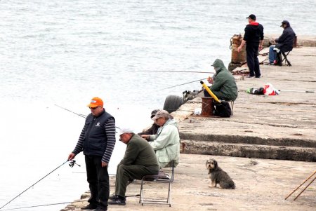Спокойное море и немноголюдный пляж: не по-летнему прохладный день в Аркадии (фоторепортаж)