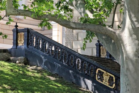 Июньская прогулка по переулку Чайковского (фоторепортаж)
