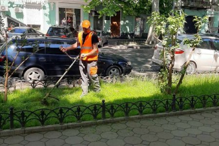 Новые водостоки, цветочные узоры на клумбах: как прошел санитарный день в Приморском районе (фото)