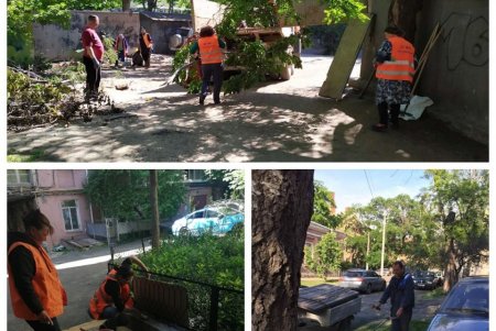 Новые водостоки, цветочные узоры на клумбах: как прошел санитарный день в Приморском районе (фото)