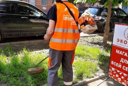 Новые водостоки, цветочные узоры на клумбах: как прошел санитарный день в Приморском районе (фото)