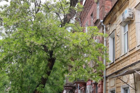 Старые дворы на Молдаванке: улица Болгарская (фоторепортаж)