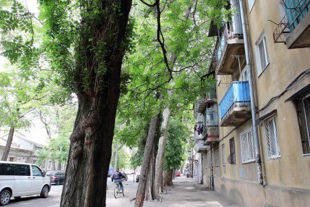 Старые дворы на Молдаванке: улица Болгарская (фоторепортаж)