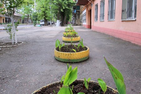 Старые дворы на Молдаванке: улица Болгарская (фоторепортаж)