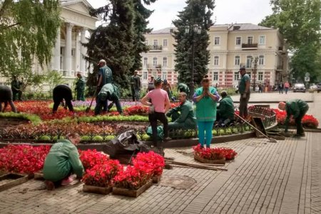На Думской площади озеленители создали цветочный узор из более 12 тысяч растений
