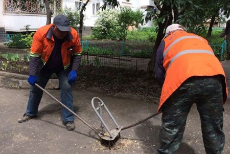 За неделю коммунальщики демонтировали более 40 незаконных барьеров для авто (фото)