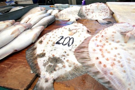 Сезонные продукты на рынке «Привоз» (фоторепортаж)