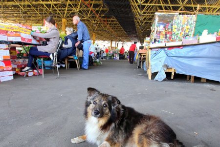 Сезонные продукты на рынке «Привоз» (фоторепортаж)