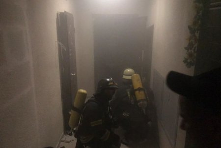 Одесские спасатели вынесли из горящей квартиры кошку и декоративную крысу (фото)