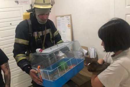 Одесские спасатели вынесли из горящей квартиры кошку и декоративную крысу (фото)