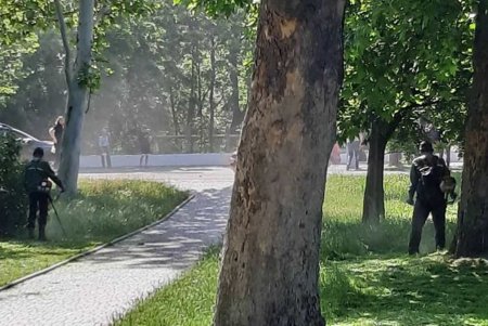 Ежедневно более 100 коммунальщиков приводят в порядок зеленые зоны города (фото)