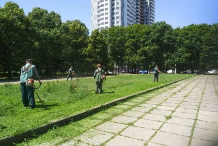 Ежедневно более 100 коммунальщиков приводят в порядок зеленые зоны города (фото)