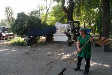 Ежедневно более 100 коммунальщиков приводят в порядок зеленые зоны города (фото)