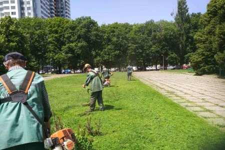 Ежедневно более 100 коммунальщиков приводят в порядок зеленые зоны города (фото)