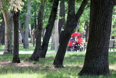 Одесский парк Горького в жаркий летний день (фоторепортаж)