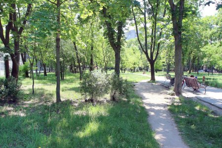 Одесский парк Горького в жаркий летний день (фоторепортаж)