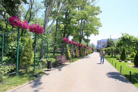 Одесский парк Горького в жаркий летний день (фоторепортаж)