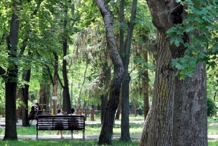 Одесский парк Горького в жаркий летний день (фоторепортаж)